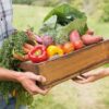 Italia, Ogni famiglia spreca 20 kg di cibo all’anno, come evitarlo: il decalogo
