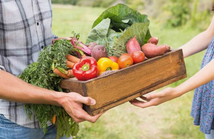 Italia, Ogni famiglia spreca 20 kg di cibo all’anno, come evitarlo: il decalogo