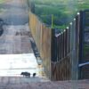 Usa, blocco migranti: Corte Suprema mantiene misura Trump