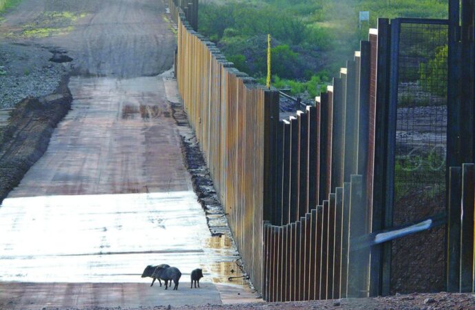 Usa, blocco migranti: Corte Suprema mantiene misura Trump