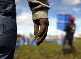 Maremma, centinaia i braccianti al nero erano pagati 2,5 euro l’ora