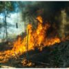 Rapporto ONU, siccità ed estremi climatici incendiano il pianeta
