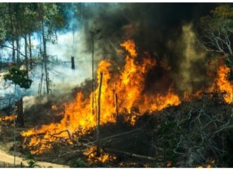 Rapporto ONU, siccità ed estremi climatici incendiano il pianeta
