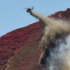 Incendi a Rodi, numeri e contatti per gli italiani che si trovano sull’isola