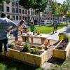 Coltivare verdure in casa, da Enea un sistema innovativo e green
