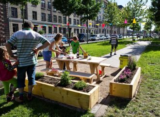 Coltivare verdure in casa, da Enea un sistema innovativo e green