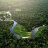 Perché la foresta amazzonica va sempre più in fumo