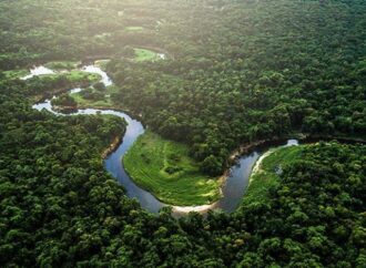 Brasile: deforestazione mai così alta