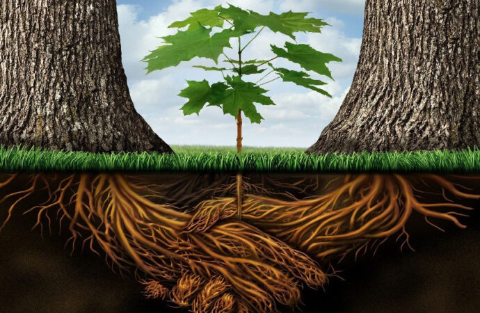 Il Regno Unito non fa abbastanza per l’ambiente