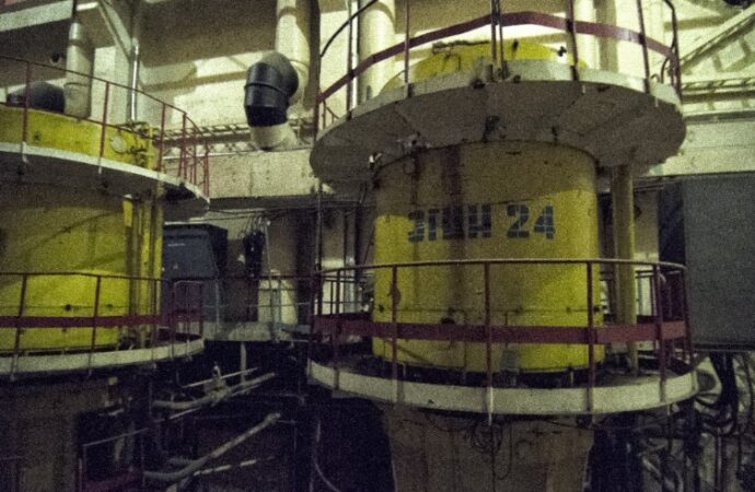 Centrale Chernobyl, i cani viventi tra i resti forniscono preziose informazioni a un gruppo di ricercatori
