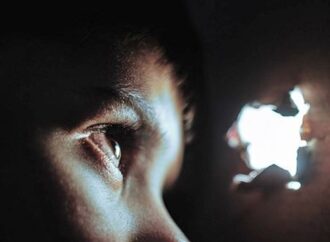 Germania, Pedopornografia: chiuso un forum di 400 mila iscritti