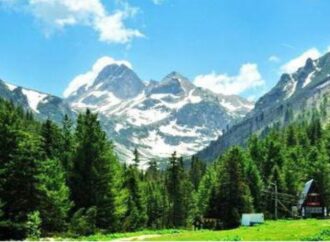 Riscaldamento globale e foreste, il futuro a rischio