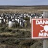 Falkland/Malvinas: tra Londra e Buenos Aires, controversia senza fine