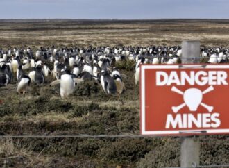 Falkland/Malvinas: tra Londra e Buenos Aires, controversia senza fine