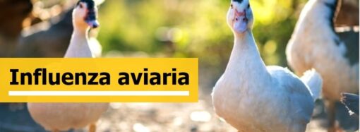 Italia, Ogni famiglia spreca 20 kg di cibo all’anno, come evitarlo: il decalogo