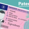 Italia, patente e tessera sanitaria su App Io, novità in arrivo