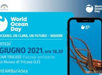 Tricase (Lecce): nasce il network delle città costiere per ridurre i rifiuti marini del mediterraneo