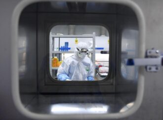 Cina, create strutture simili a embrioni da cellule staminali di scimmia