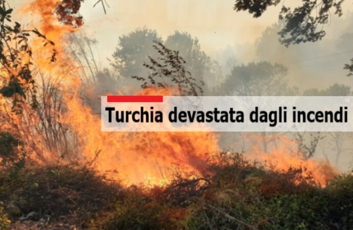 Turchia, evacuate 150 persone per un devastante incendio sulla costa del Mar Egeo