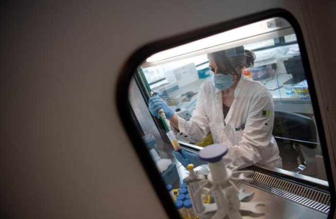Ancora incerto il vero bilancio delle vittime di Covid tre anni dopo la pandemia
