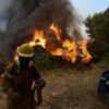Grecia, arrestati 79 piromani: “Crimine contro il Paese”