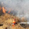 Incendi in Sicilia, Palermo: 1.500 evacuati