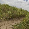 Italia, allarme siccità: situazione regione per regione
