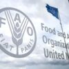 Prezzi degli alimentari mondiali al massimo per la guerra in Ucraina