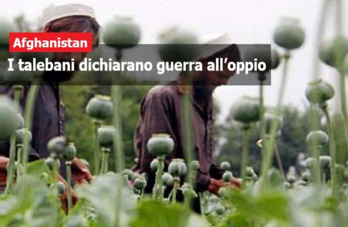 Afghanistan, i talebani dichiarano guerra all’oppio