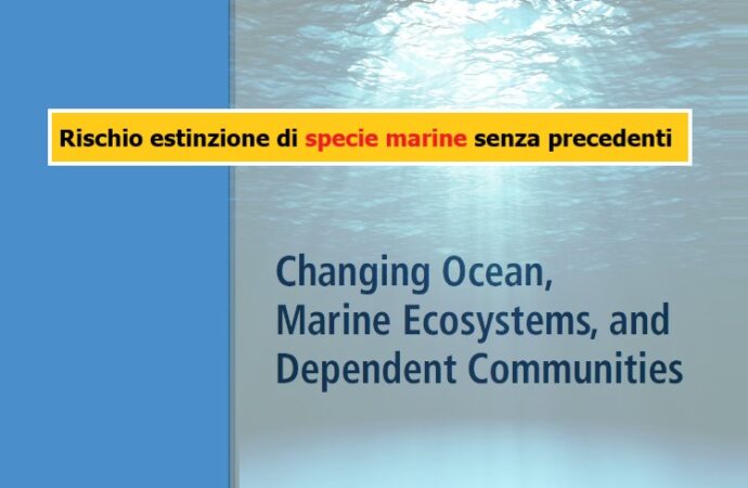 Cambiamento climatico: rischio estinzione di specie marine senza precedenti