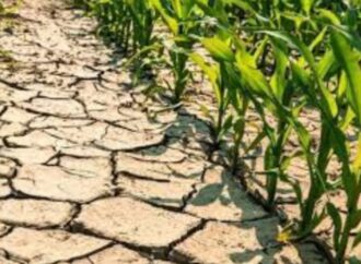 Sud America, “la siccità non è colpa dei cambiamenti climatici”: studio