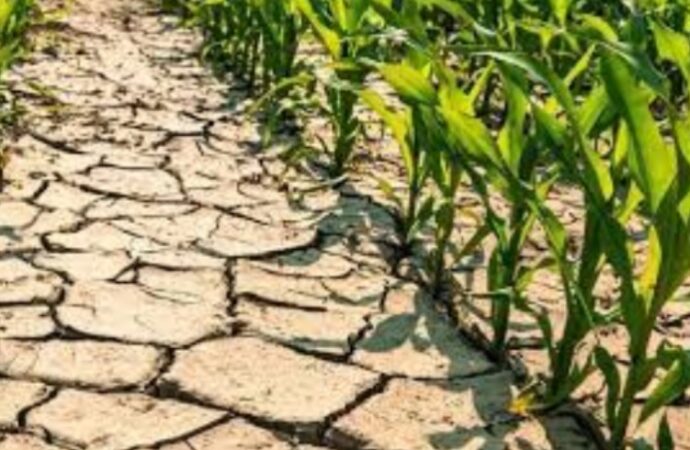 Sud America, “la siccità non è colpa dei cambiamenti climatici”: studio