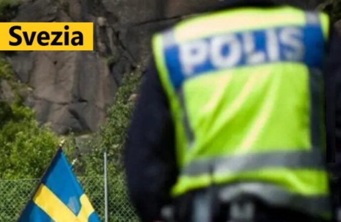 Svezia: “Vilks è morto per un incidente stradale” conferma la polizia