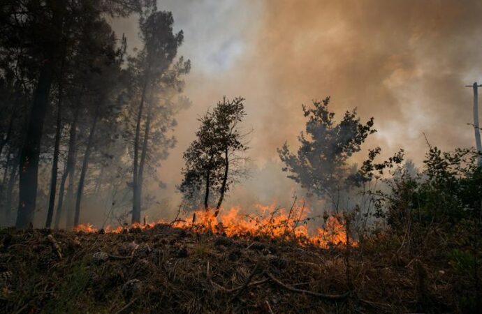 Europa, incendi: migliaia di evacuati e centinaia di morti