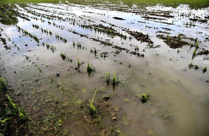 Maltempo Italia, campagne sott’acqua: è allarme