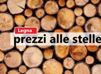 Legna da ardere, prezzi alle stelle… e furti in aumento