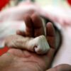 Save the Children: 92 bambini uccisi in Yemen tra gennaio e novembre