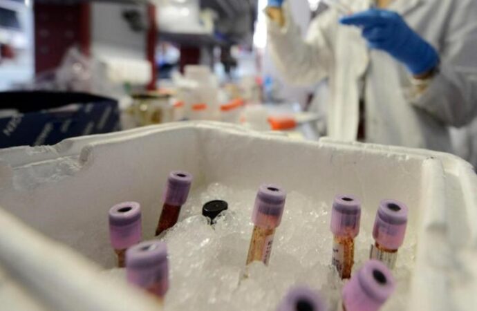Caccia al patogeno, Oms convoca oltre 300 scienziati