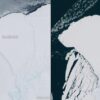 Iceberg si stacca in Antartide, Esa: “E’ 5 volte più grande di Malta”