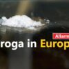 Ue, il traffico di cocaina è in crescita: 10 miliardi di euro l’anno