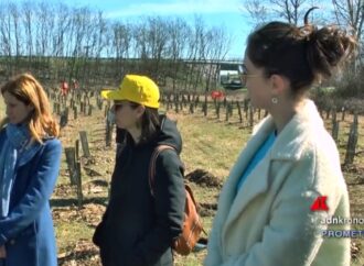 Torino, nasce un nuovo bosco urbano iniziativa di Nespresso