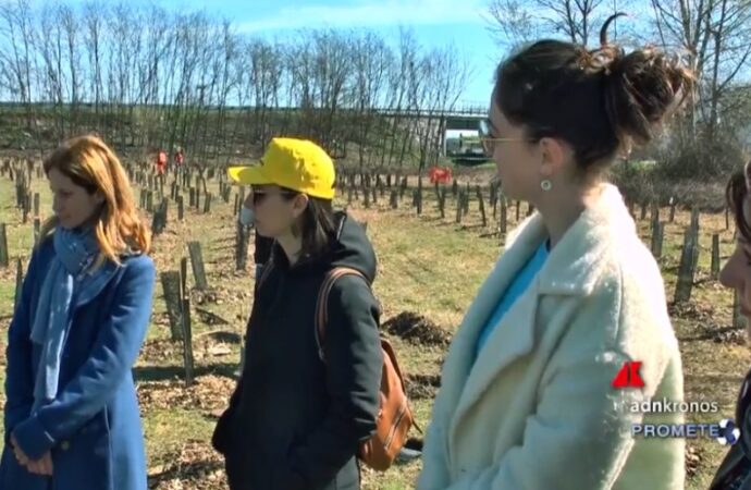 Torino, nasce un nuovo bosco urbano iniziativa di Nespresso