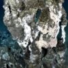 Oceani caldi con temperature record, lo studio