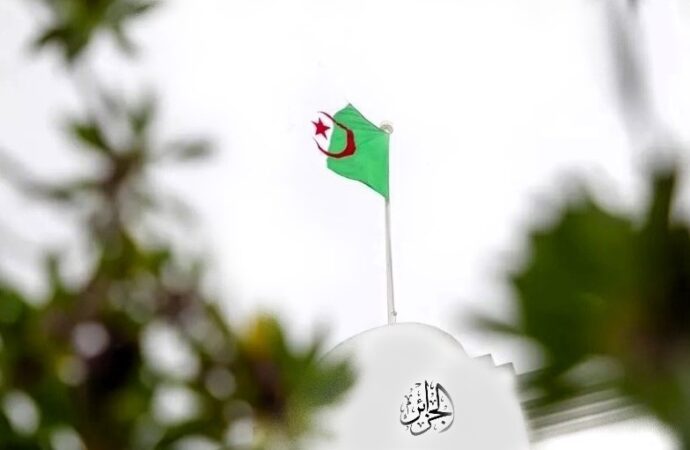 Algeria: l’esecutivo riorganizza il settore del commercio estero