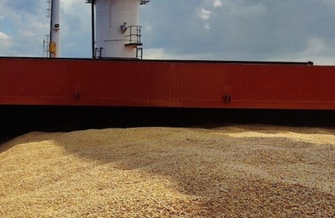 Egitto: compra 300 mila tonnellate di grano dalla Russia