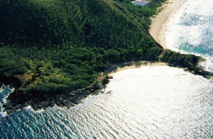 Hawaii, vittime incendio salgono a 36