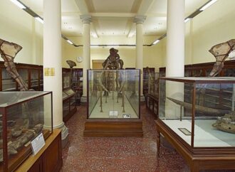 Giornate Europee del Patrimonio nei musei, spazi espositivi e luoghi della cultura di Bologna e area metropolitana |  23 e 24 settembre