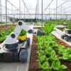 Boom robotica, installati nel mondo 531mila automi