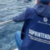 Capri, tesori archeologici in fondo al mare
