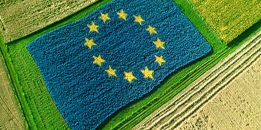 Mercosur, l’accordo risultato di anni di negoziati, atteso il parere della Corte Ue